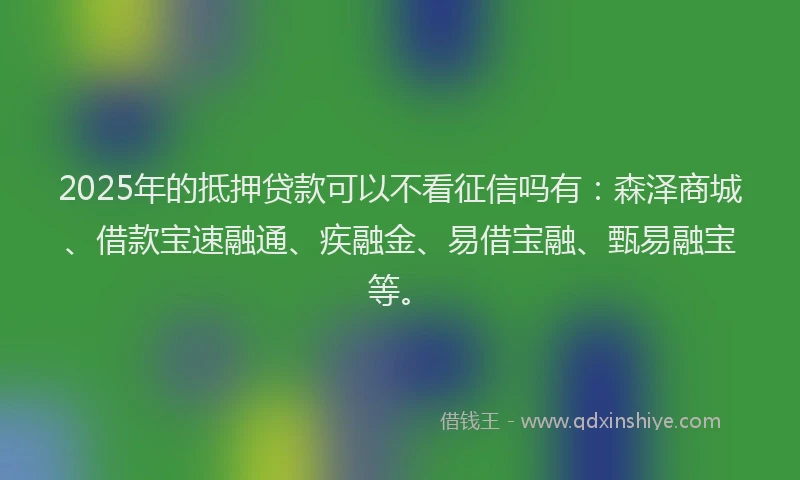 2025年的抵押贷款可以不看征信吗有：森泽商城、借款宝速融通、疾融金、易借宝融、甄易融宝等。