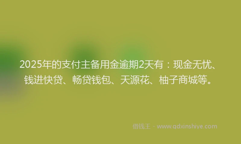 2025年的支付主备用金逾期2天有：现金无忧、钱进快贷、畅贷钱包、天源花、柚子商城等。