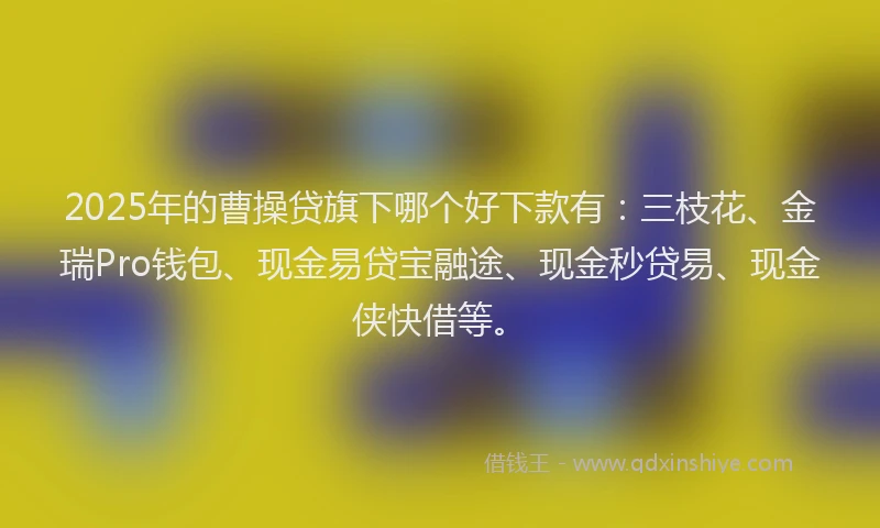 2025年的曹操贷旗下哪个好下款有：三枝花、金瑞Pro钱包、现金易贷宝融途、现金秒贷易、现金侠快借等。