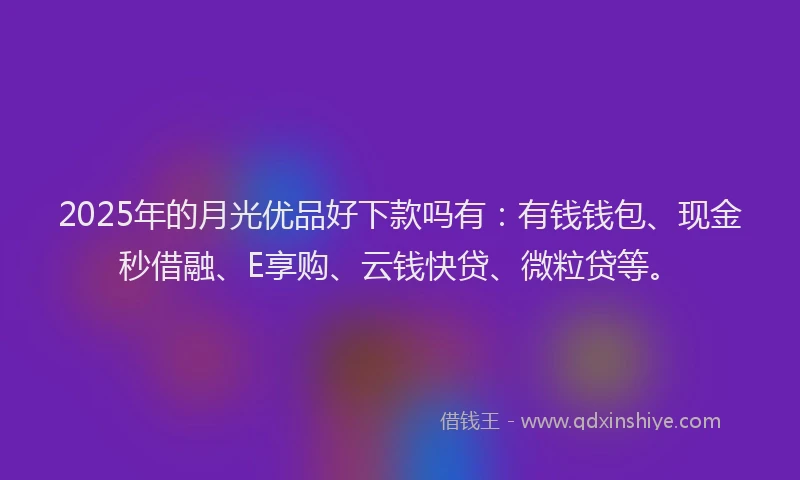 2025年的月光优品好下款吗有：有钱钱包、现金秒借融、E享购、云钱快贷、微粒贷等。