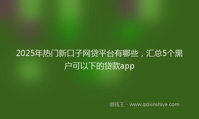 2025年热门新口子网贷平台有哪些，汇总5个黑户可以下的贷款app