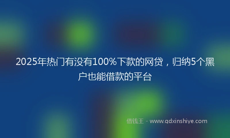 2025年热门有没有100%下款的网贷，归纳5个黑户也能借款的平台
