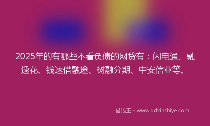 2025年的有哪些不看负债的网贷有：闪电通、融逸花、钱速借融途、树融分期、中安信业等。
