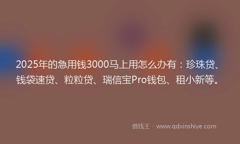 2025年的急用钱3000马上用怎么办有：珍珠贷、钱袋速贷、粒粒贷、瑞信宝Pro钱包、租小新等。