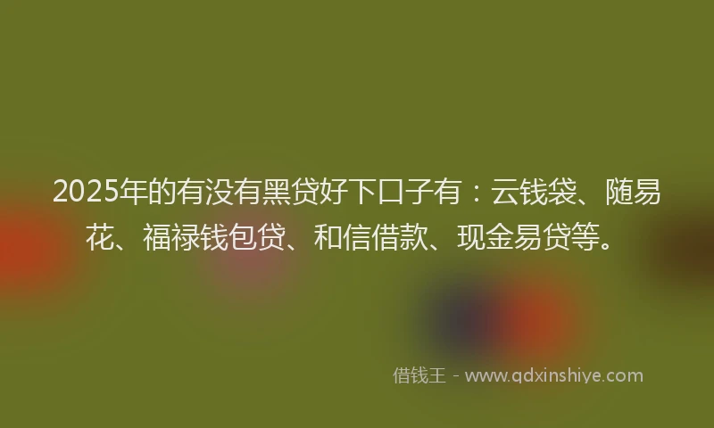 2025年的有没有黑贷好下口子有：云钱袋、随易花、福禄钱包贷、和信借款、现金易贷等。