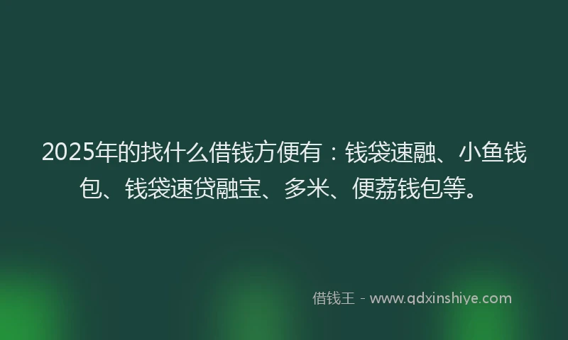 2025年的找什么借钱方便有：钱袋速融、小鱼钱包、钱袋速贷融宝、多米、便荔钱包等。