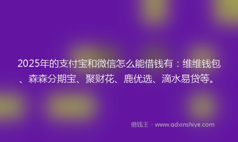 2025年的支付宝和微信怎么能借钱有：维维钱包、森森分期宝、聚财花、鹿优选、滴水易贷等。