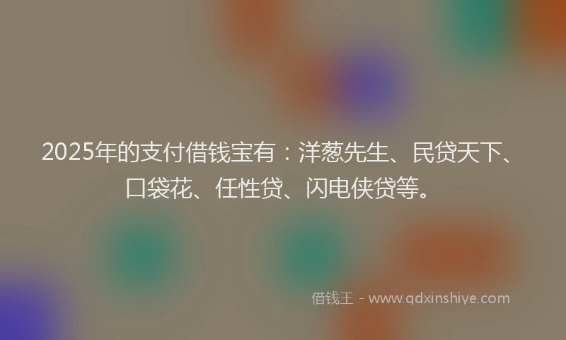 2025年的支付借钱宝有：洋葱先生、民贷天下、口袋花、任性贷、闪电侠贷等。