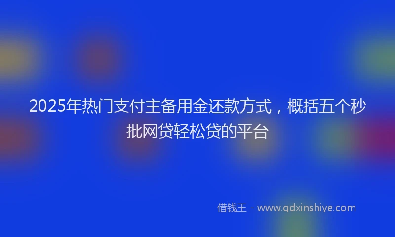 2025年热门支付主备用金还款方式，概括五个秒批网贷轻松贷的平台