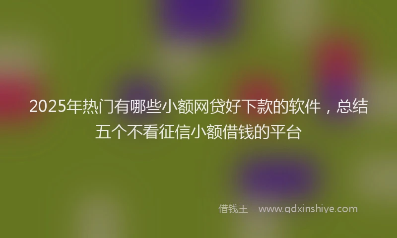 2025年热门有哪些小额网贷好下款的软件，总结五个不看征信小额借钱的平台