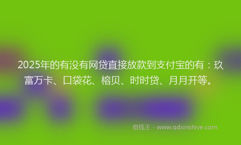 2025年的有没有网贷直接放款到支付宝的有：玖富万卡、口袋花、榕贝、时时贷、月月开等。