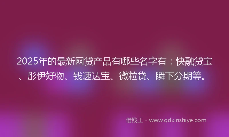 2025年的最新网贷产品有哪些名字有：快融贷宝、彤伊好物、钱速达宝、微粒贷、瞬下分期等。