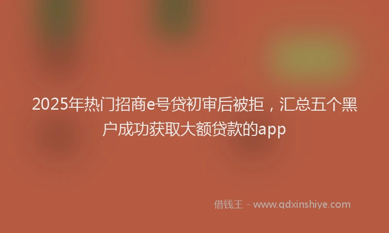 2025年热门招商e号贷初审后被拒，汇总五个黑户成功获取大额贷款的app