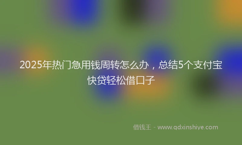 2025年热门急用钱周转怎么办，总结5个支付宝快贷轻松借口子