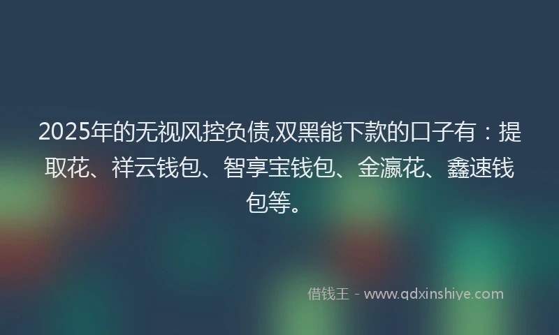2025年的无视风控负债,双黑能下款的口子有：提取花、祥云钱包、智享宝钱包、金瀛花、鑫速钱包等。