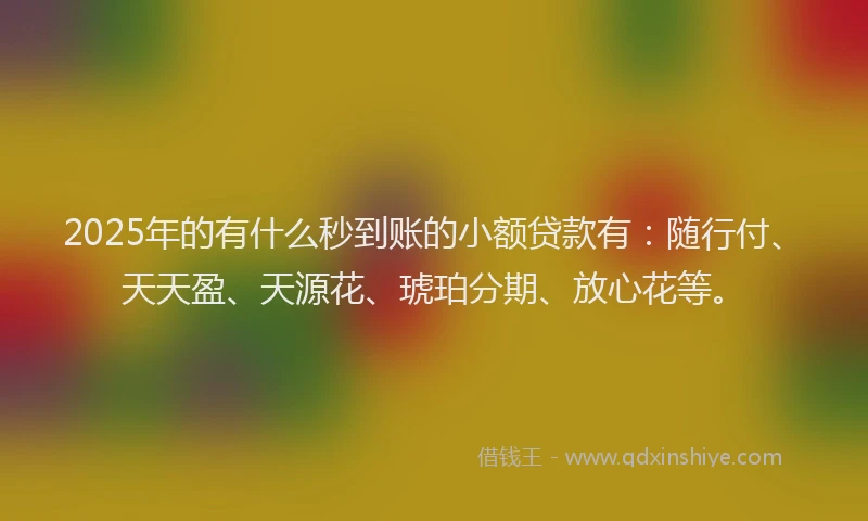 2025年的有什么秒到账的小额贷款有：随行付、天天盈、天源花、琥珀分期、放心花等。