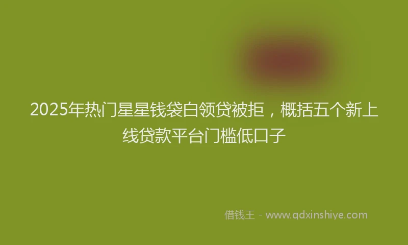 2025年热门星星钱袋白领贷被拒，概括五个新上线贷款平台门槛低口子