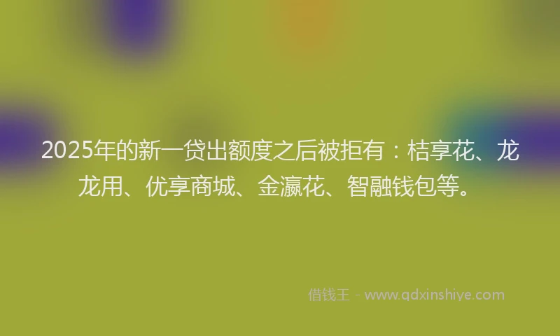 2025年的新一贷出额度之后被拒有：桔享花、龙龙用、优享商城、金瀛花、智融钱包等。