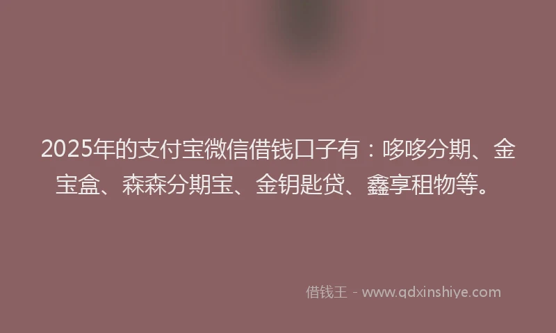 2025年的支付宝微信借钱口子有：哆哆分期、金宝盒、森森分期宝、金钥匙贷、鑫享租物等。