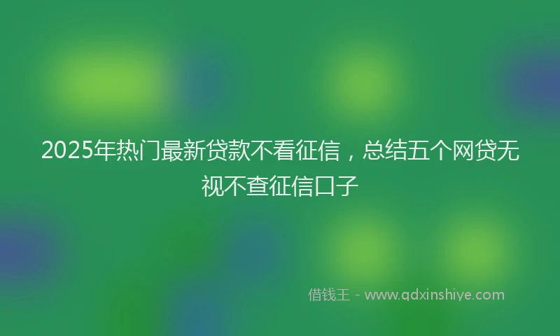 2025年热门最新贷款不看征信，总结五个网贷无视不查征信口子