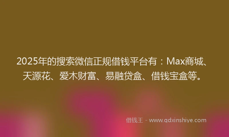 2025年的搜索微信正规借钱平台有：Max商城、天源花、爱木财富、易融贷盒、借钱宝盒等。