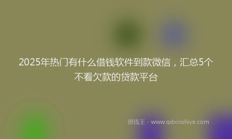 2025年热门有什么借钱软件到款微信，汇总5个不看欠款的贷款平台