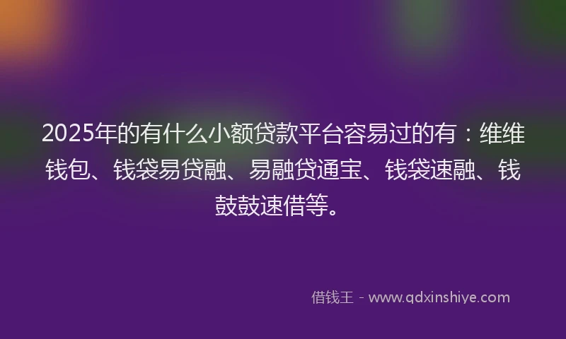 2025年的有什么小额贷款平台容易过的有：维维钱包、钱袋易贷融、易融贷通宝、钱袋速融、钱鼓鼓速借等。