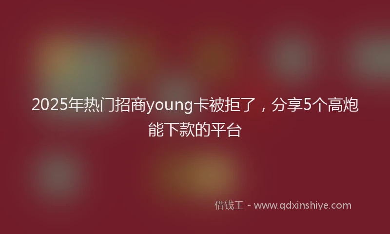 2025年热门招商young卡被拒了，分享5个高炮能下款的平台