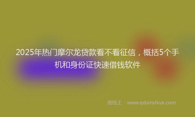 2025年热门摩尔龙贷款看不看征信，概括5个手机和身份证快速借钱软件