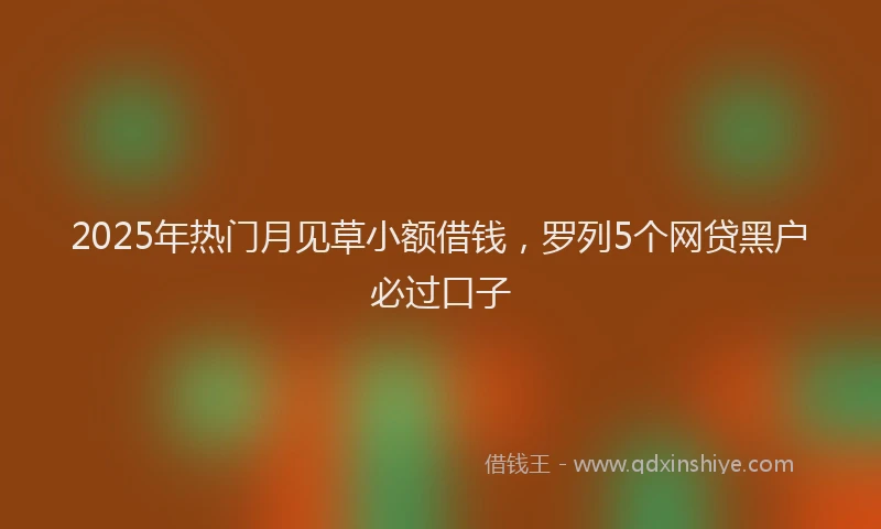 2025年热门月见草小额借钱，罗列5个网贷黑户必过口子