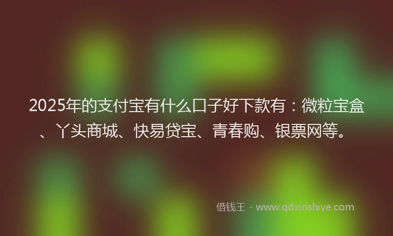 2025年的支付宝有什么口子好下款有：微粒宝盒、丫头商城、快易贷宝、青春购、银票网等。