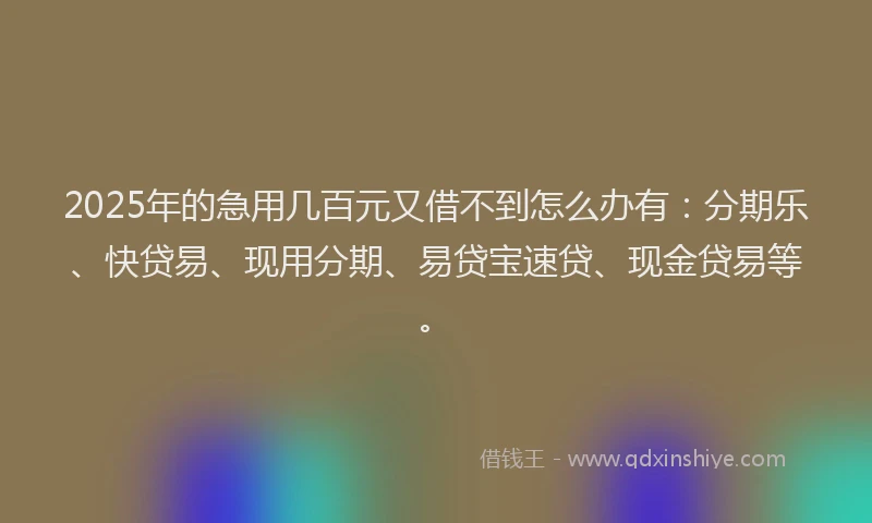 2025年的急用几百元又借不到怎么办有：分期乐、快贷易、现用分期、易贷宝速贷、现金贷易等。