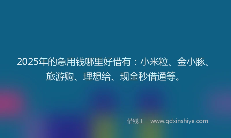 2025年的急用钱哪里好借有：小米粒、金小豚、旅游购、理想给、现金秒借通等。