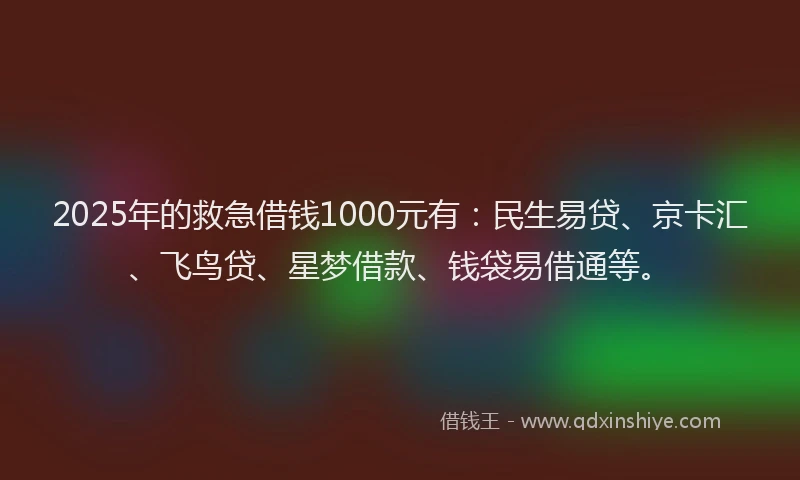 2025年的救急借钱1000元有：民生易贷、京卡汇、飞鸟贷、星梦借款、钱袋易借通等。