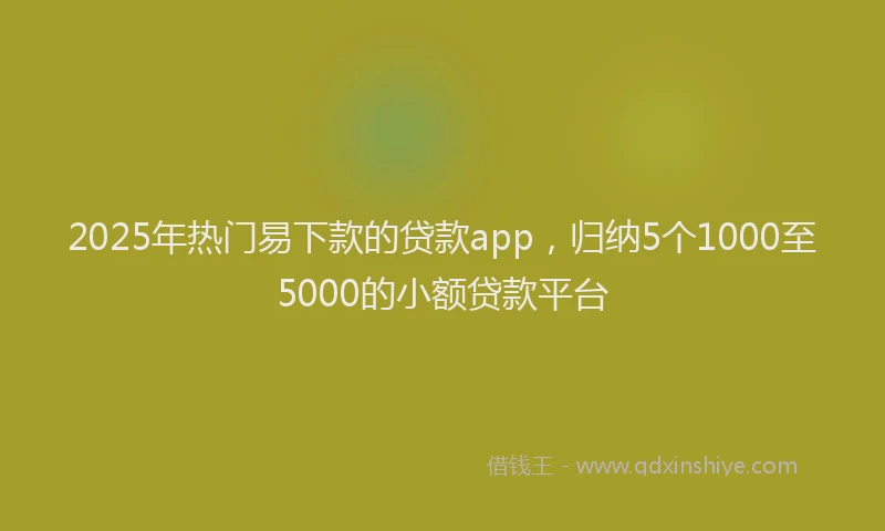 2025年热门易下款的贷款app，归纳5个1000至5000的小额贷款平台