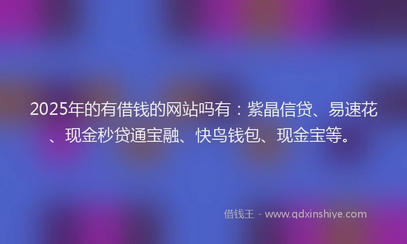 2025年的有借钱的网站吗有：紫晶信贷、易速花、现金秒贷通宝融、快鸟钱包、现金宝等。