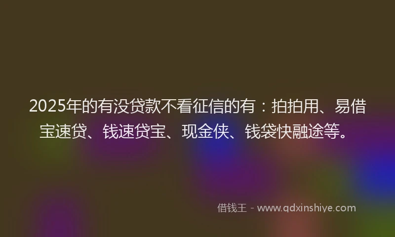 2025年的有没贷款不看征信的有：拍拍用、易借宝速贷、钱速贷宝、现金侠、钱袋快融途等。