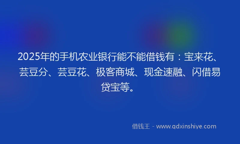 2025年的手机农业银行能不能借钱有：宝来花、芸豆分、芸豆花、极客商城、现金速融、闪借易贷宝等。