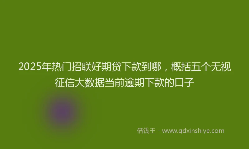 2025年热门招联好期贷下款到哪，概括五个无视征信大数据当前逾期下款的口子
