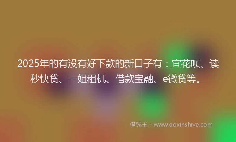 2025年的有没有好下款的新口子有：宜花呗、读秒快贷、一姐租机、借款宝融、e微贷等。