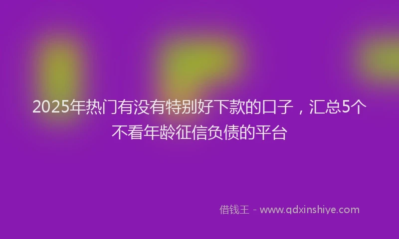 2025年热门有没有特别好下款的口子，汇总5个不看年龄征信负债的平台