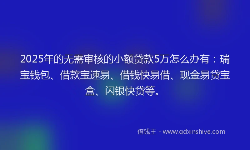 2025年的无需审核的小额贷款5万怎么办有：瑞宝钱包、借款宝速易、借钱快易借、现金易贷宝盒、闪银快贷等。