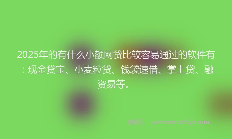 2025年的有什么小额网贷比较容易通过的软件有：现金贷宝、小麦粒贷、钱袋速借、掌上贷、融资易等。