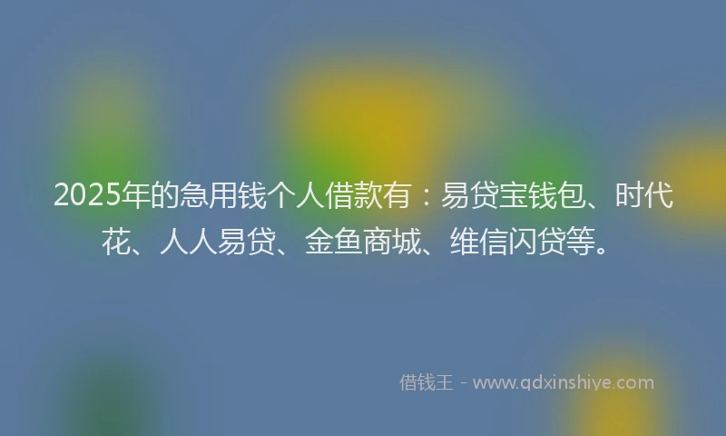 2025年的急用钱个人借款有：易贷宝钱包、时代花、人人易贷、金鱼商城、维信闪贷等。