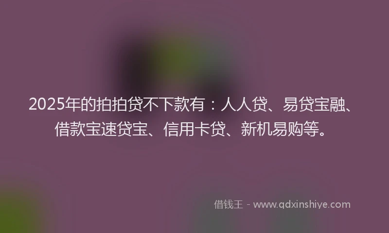2025年的拍拍贷不下款有：人人贷、易贷宝融、借款宝速贷宝、信用卡贷、新机易购等。