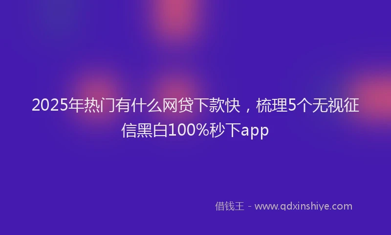 2025年热门有什么网贷下款快，梳理5个无视征信黑白100%秒下app
