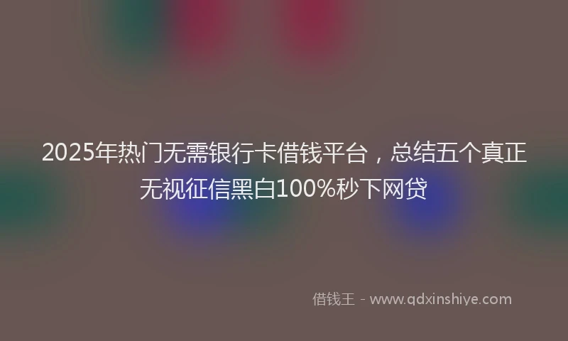 2025年热门无需银行卡借钱平台，总结五个真正无视征信黑白100%秒下网贷