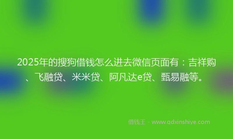 2025年的搜狗借钱怎么进去微信页面有：吉祥购、飞融贷、米米贷、阿凡达e贷、甄易融等。