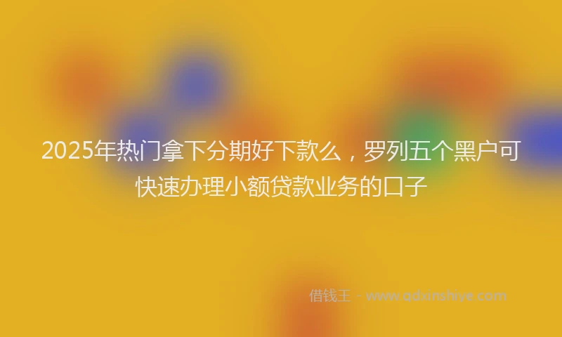 2025年热门拿下分期好下款么，罗列五个黑户可快速办理小额贷款业务的口子