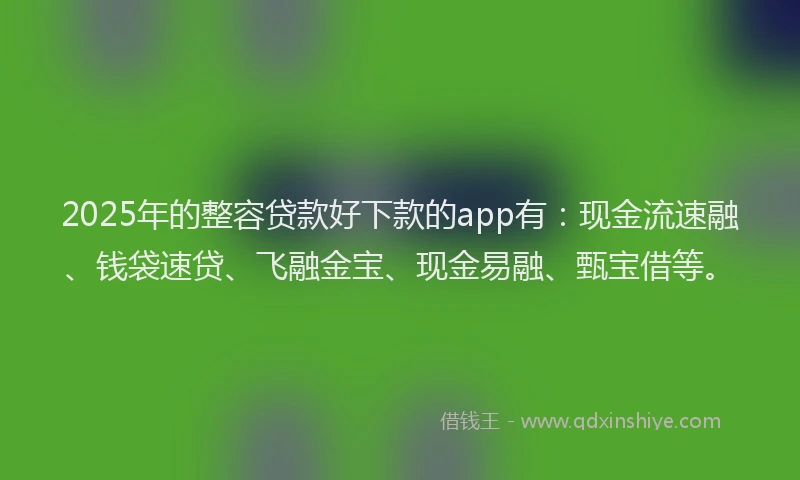 2025年的整容贷款好下款的app有：现金流速融、钱袋速贷、飞融金宝、现金易融、甄宝借等。